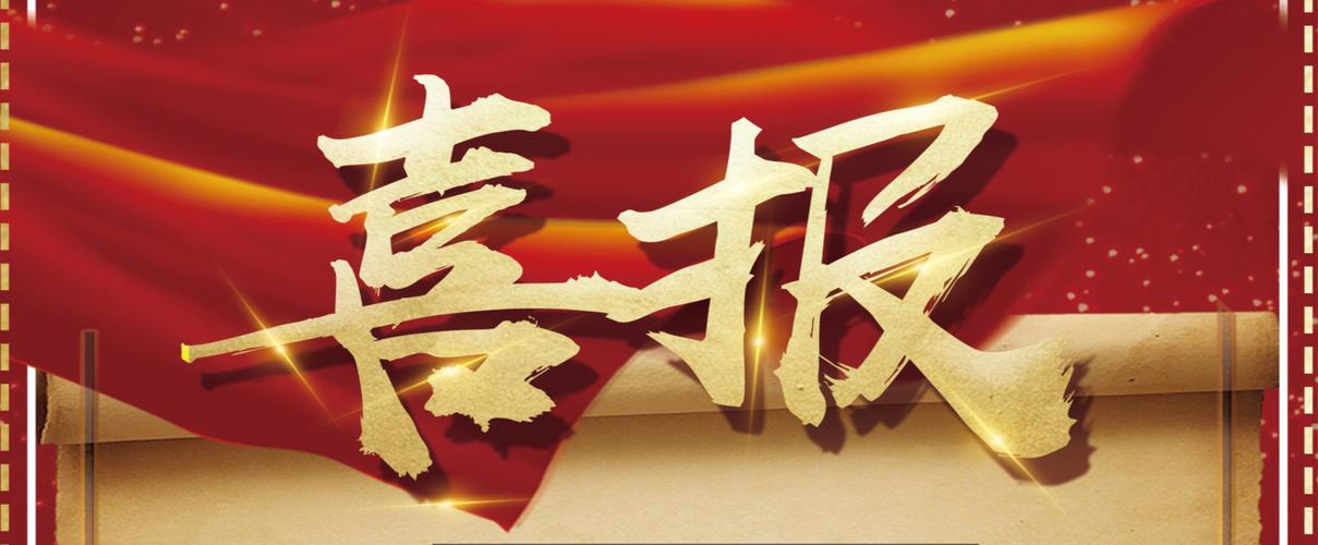 蜘蛛池搜索引擎霸屏技术引爆流量